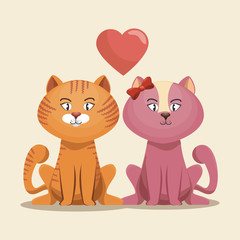 lovely kittens pink and yellow with heart vector illustration eps 10