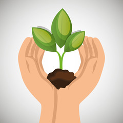 hands holding plant green concept ecological vector illustration eps 10
