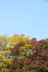 Fototapeta premium 시골 풍경