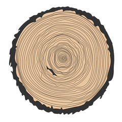 Fototapeta premium Conceptual background with tree-rings. Ring illustration isolated on white