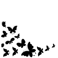 Fototapeta na wymiar black butterflies,isolated on a white