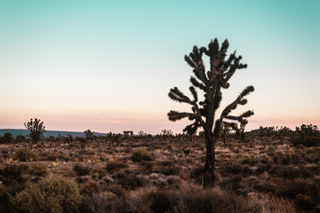 Fototapeta na wymiar Mojave Desert near Route 66 in California