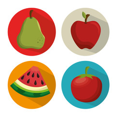 collection fresh apple tomato watermelon and pear vector illustration eps 10