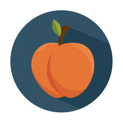tasty peach fruit healthy vector illustration eps 10