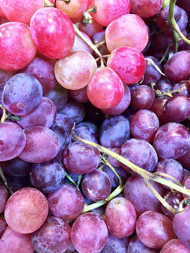 Organic purple grapes