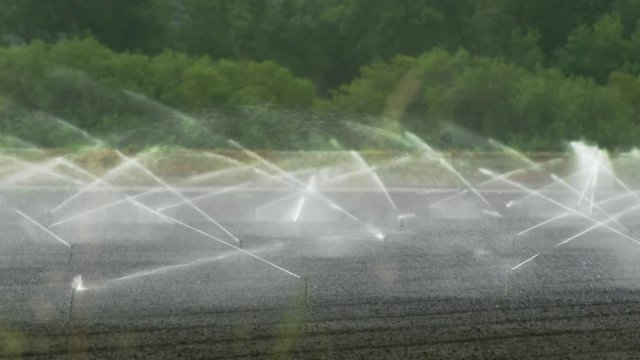 Wide shot of Industrial sprinklers spraying water on farmland