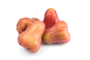 Four rose apple on white isolate background, Thailand Asia