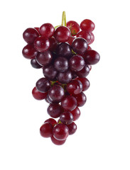 grape isolated on white background