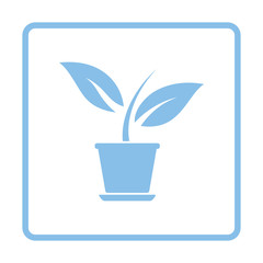 Plant in flower pot icon