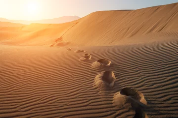 Deurstickers Woestijnlandschap woestijn