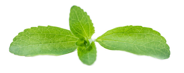 Stevia leaves isolated on white