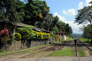 Railroad running through a small town on the island of Ceylon.