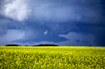 Fototapeta premium Storm Clouds Saskatchewan