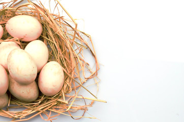 Fresh Egg and duck eggs.