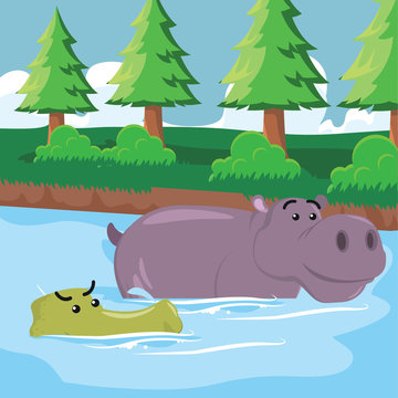 crocodile swimming with hippo