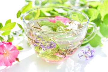 herbal drink with fresh herbs in white backround