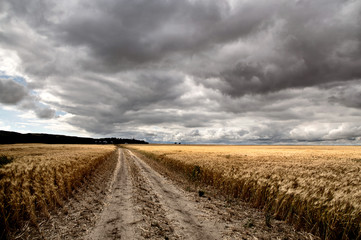 Fototapeta premium Storm Clouds Saskatchewan