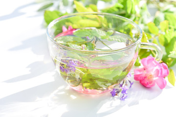 herbal drink with fresh herbs in white backround