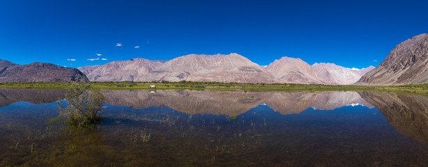 Nubra Valley landscape with Himalayan range view, Leh, Ladakh district, India.