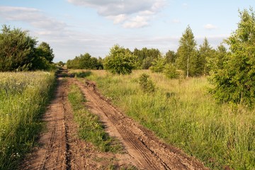 Fototapeta na wymiar muddy road between meadows