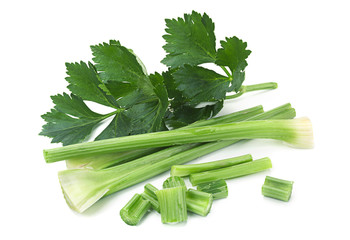 Celery leaf on white