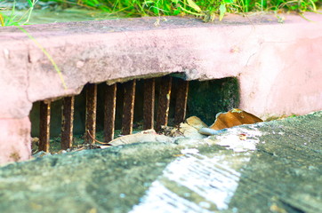 Drain.
Sewer, street drains when it rains do not flood.

