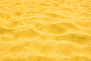 gold sand of a beach in the summer