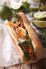 Vietnamese Pork Banh Mi Sandwich with Cilantro and carrot close-up. Vertical