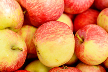 Many red apples