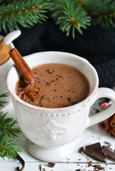 Obraz na płótnie Canvas Winter hot drink - hot chocolate with cinnamon and anise