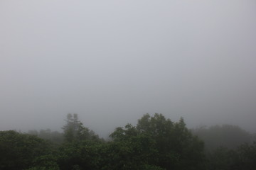 濃霧(サロマ湖展望台)