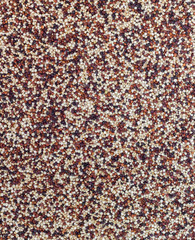 Fototapeta premium Seeds of uncooked quinoa
