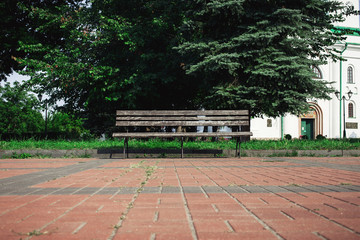 Old wooden bench in the summer park