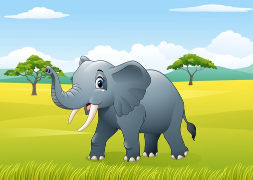 Cartoon funny elephant in the jungle

