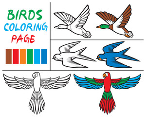 coloring book vector illustration of parrot, duck and swallow