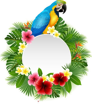 Cute parrot with blank sign on plant background


