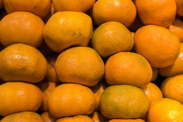 Obraz na płótnie Canvas Group of mandarin oranges