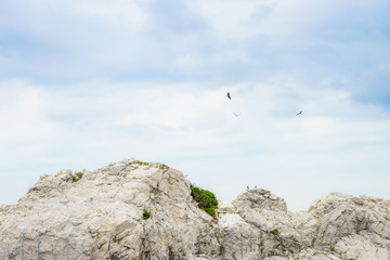 和歌山 白崎海洋公園