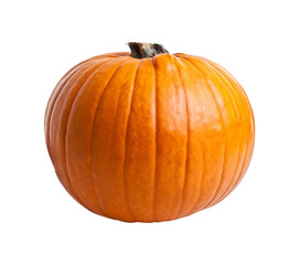 halloween pumpkin on white