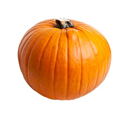 halloween pumpkin on white