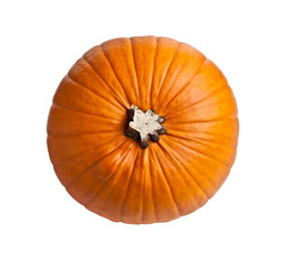 halloween pumpkin on white