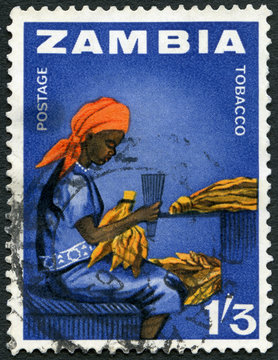 ZAMBIA - 1964: Woman tobacco worker, series Zambia indepence