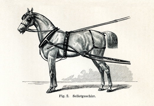 Horse harnessing (Selletgeschirr) (from Meyers Lexikon, 1895, 7/432/433)