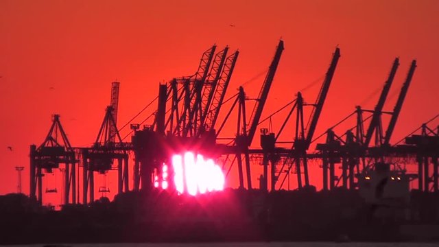 Hafenkr&auml;ne im Hamburger Hafen bei Sonnenuntergang