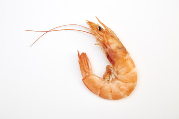 Prawn