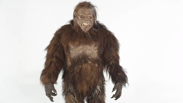 Bigfoot on a white background, moving his claws.