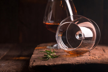 Glass of brandy or cognac 