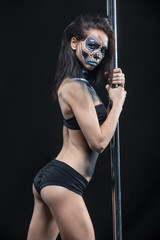 Obraz na płótnie Canvas Pole dancer with body-art in dark studio