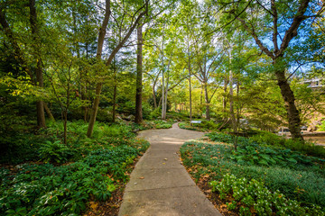 Path at the Falls Park on the Reedy, in Greenville, South Caroli