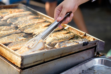 Chef grilling mackerel (Saba) steak on the stove